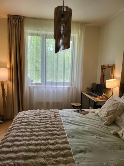 Exquisite Euphoria apartment for 4 Guests in Borovets Ski Resort