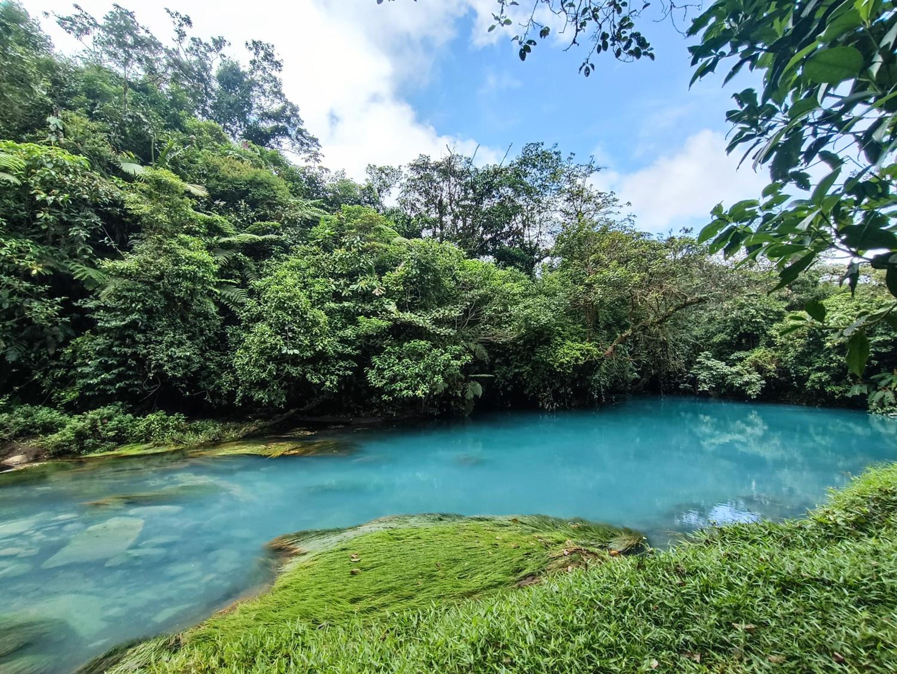 Bitzu Dome-Bijagua Riverside Glamping
