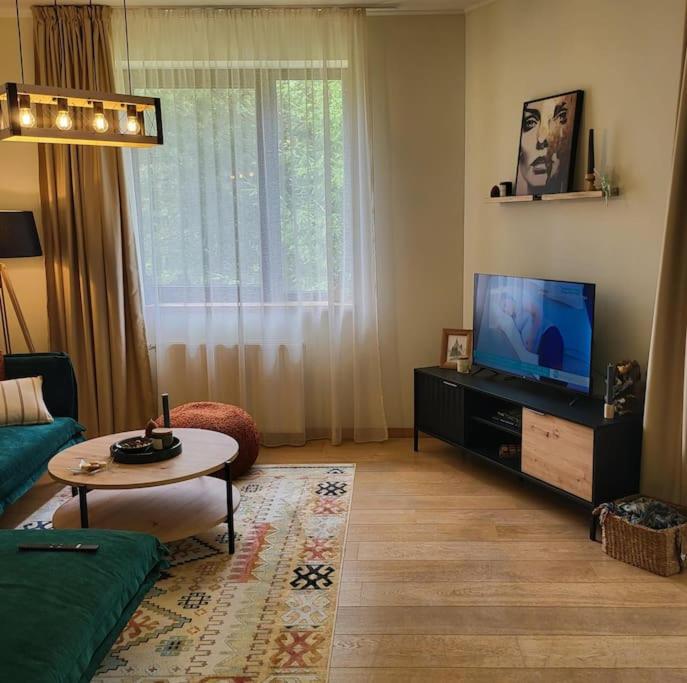 Exquisite Euphoria apartment for 4 Guests in Borovets Ski Resort
