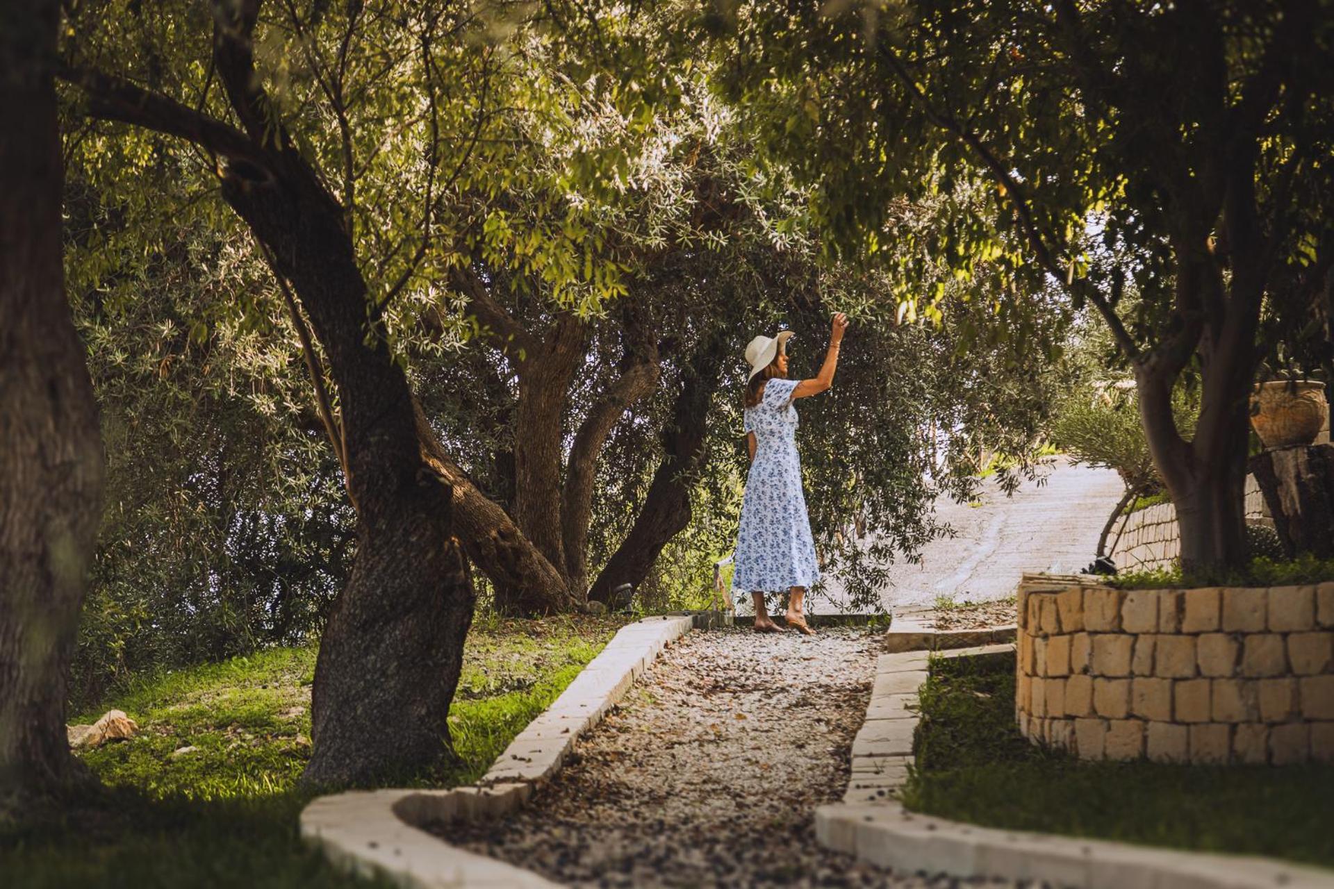 Tenuta Olive Alive