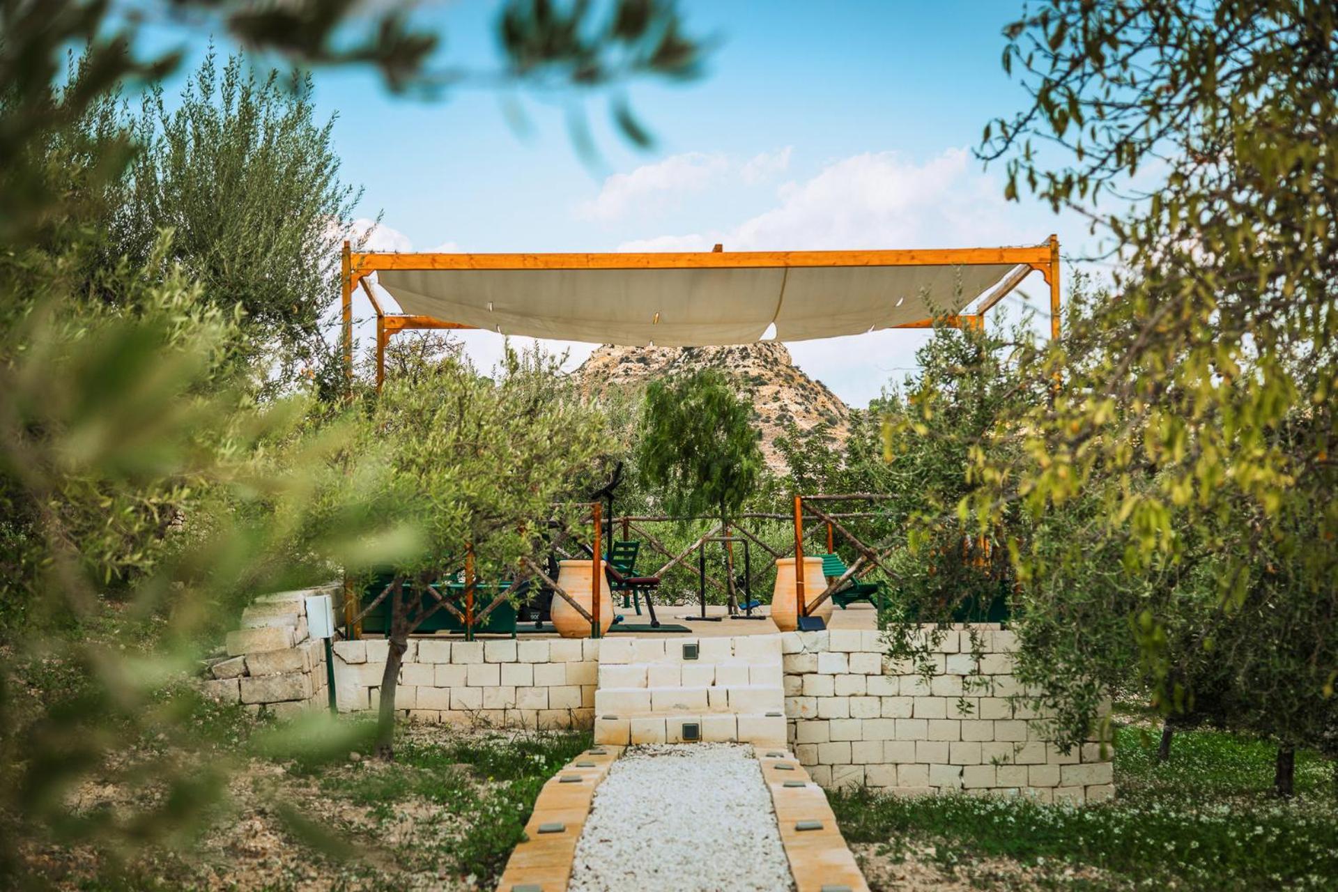 Tenuta Olive Alive