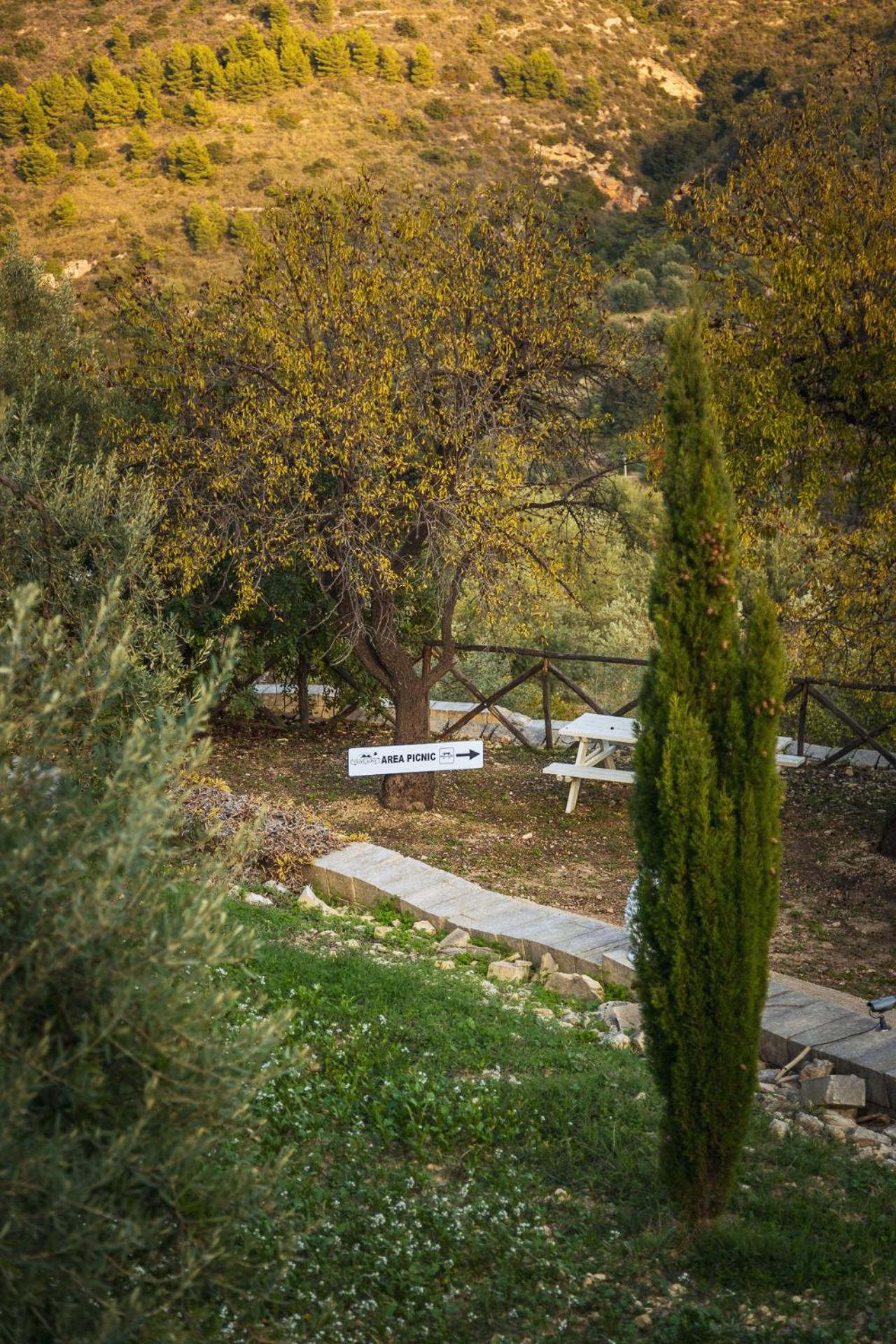 Tenuta Olive Alive