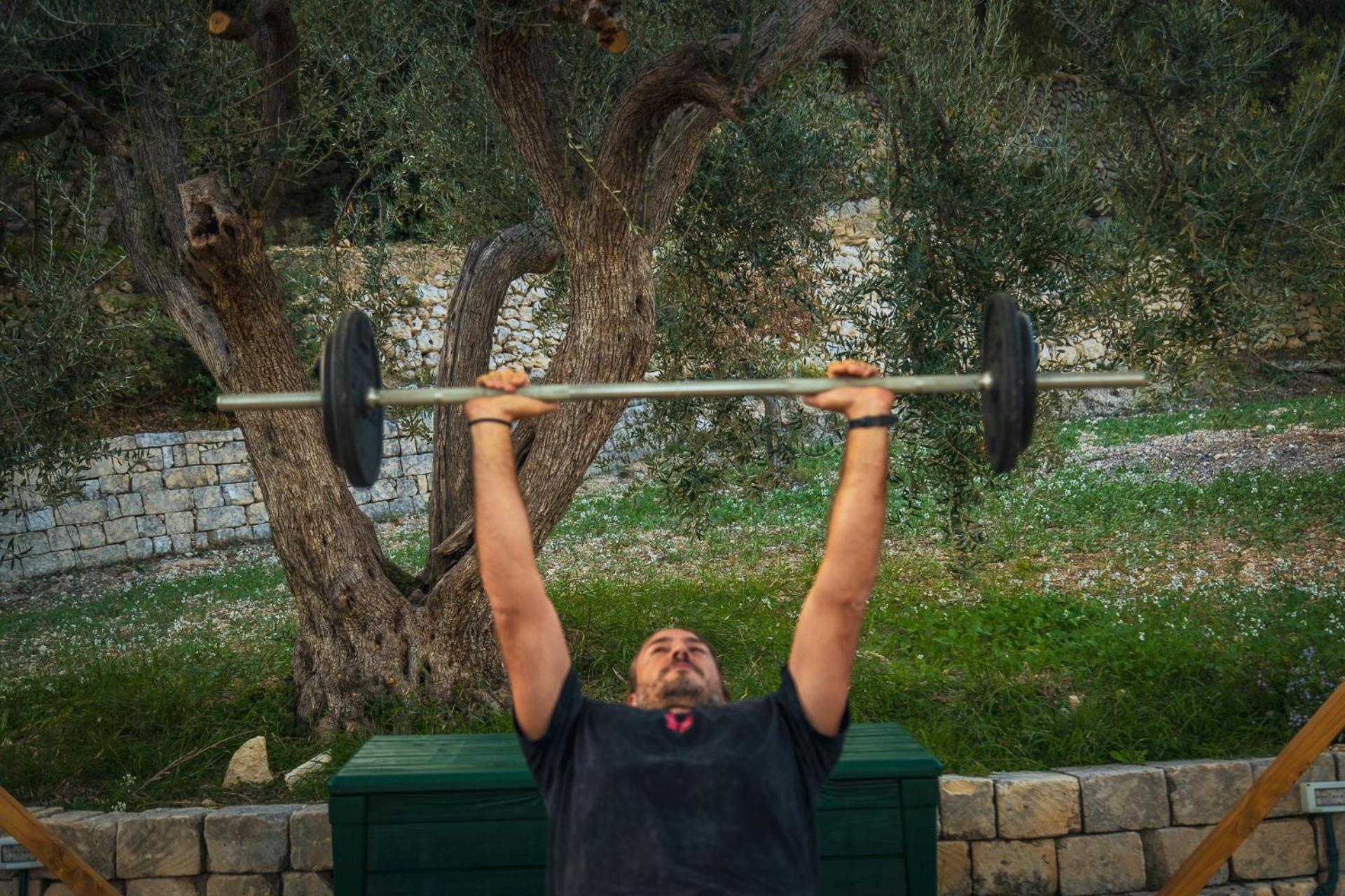 Tenuta Olive Alive