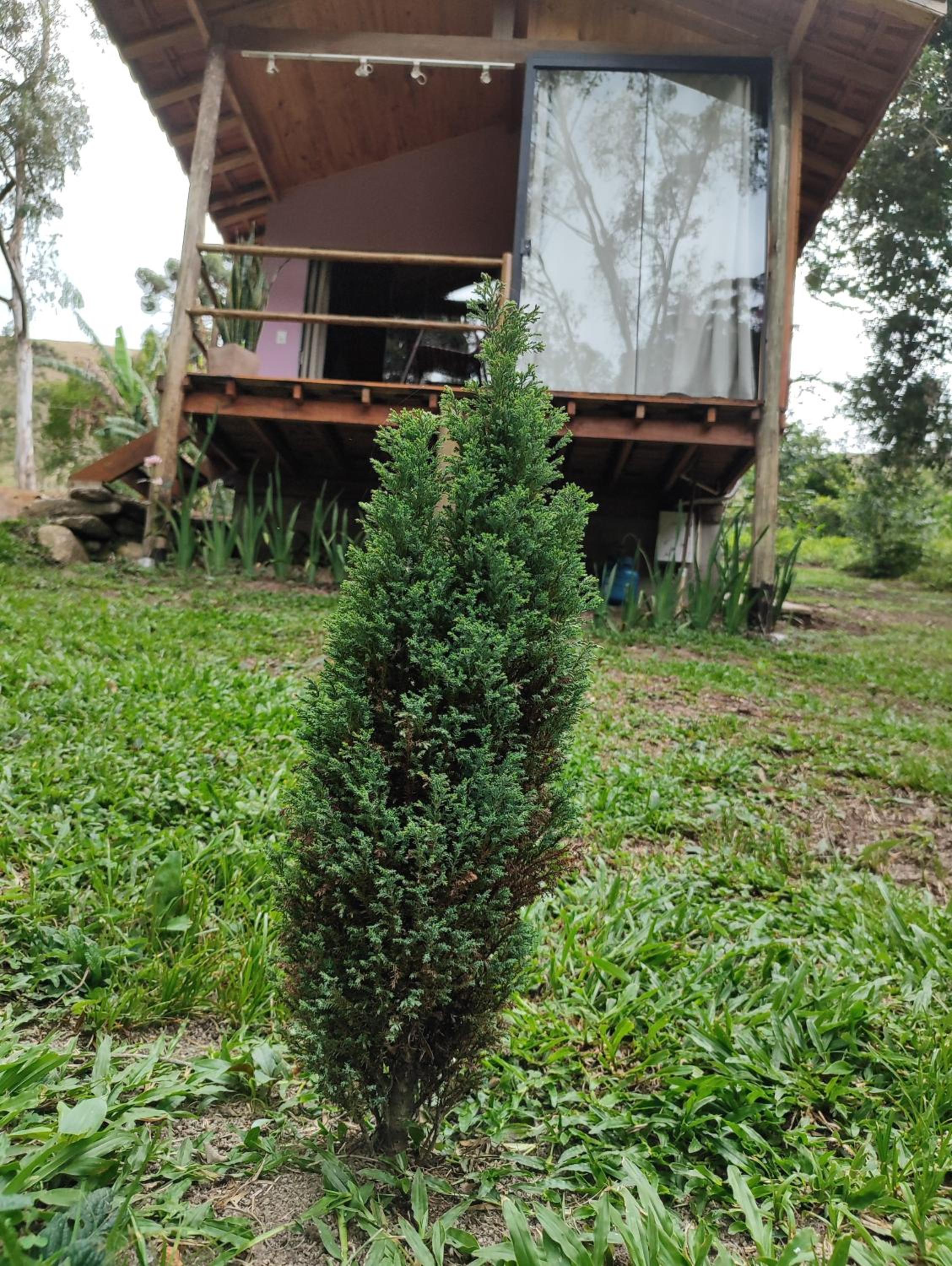 Chalé beija flor