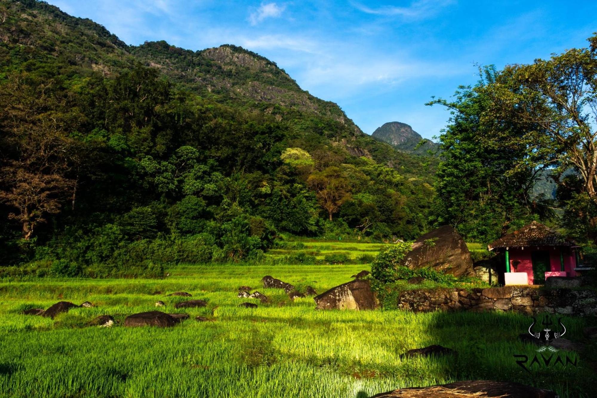 Ravan Herbal Cottage