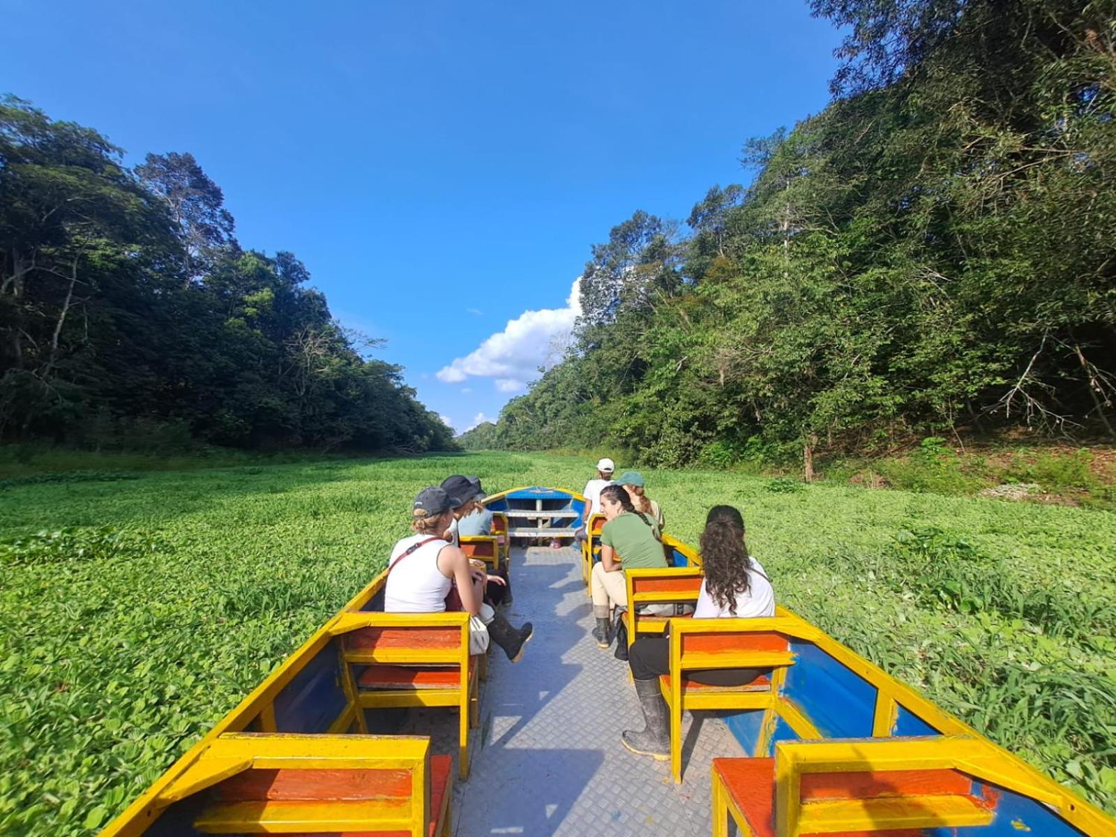 Jacamar Lodge Expeditions