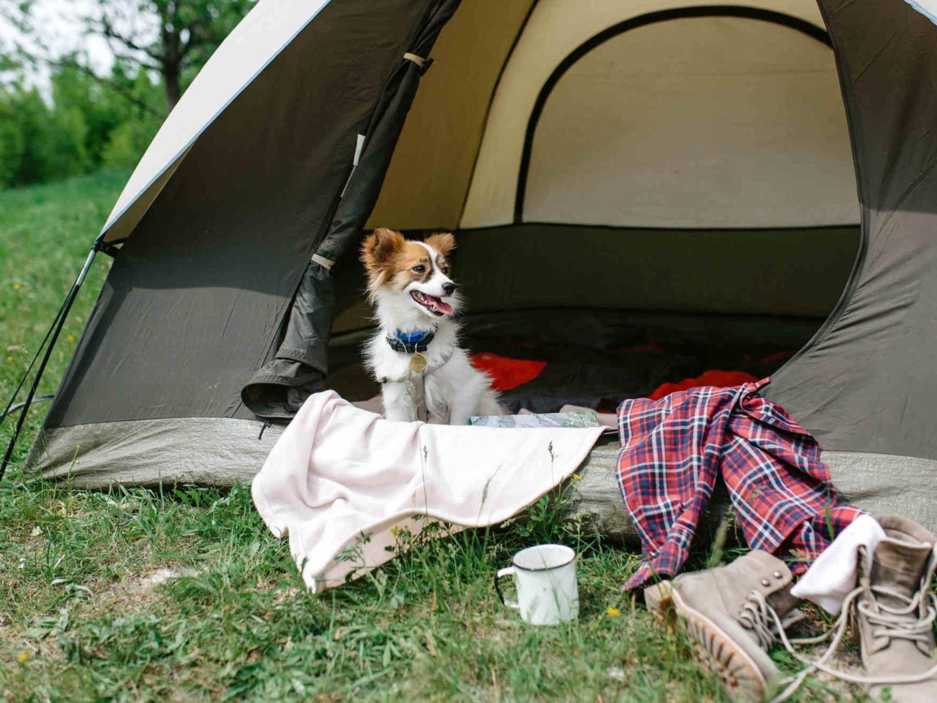 Camping Pirineos Jacetania 3000