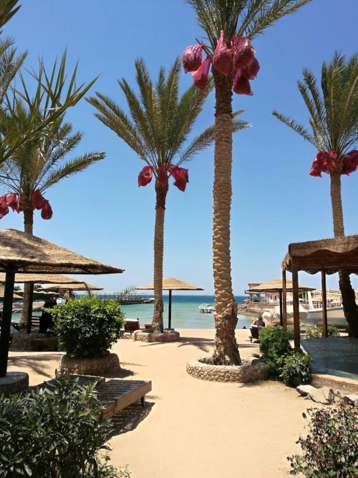 Hurghada Vacations - El Geisum Resort Hurghada - Property Image 3
