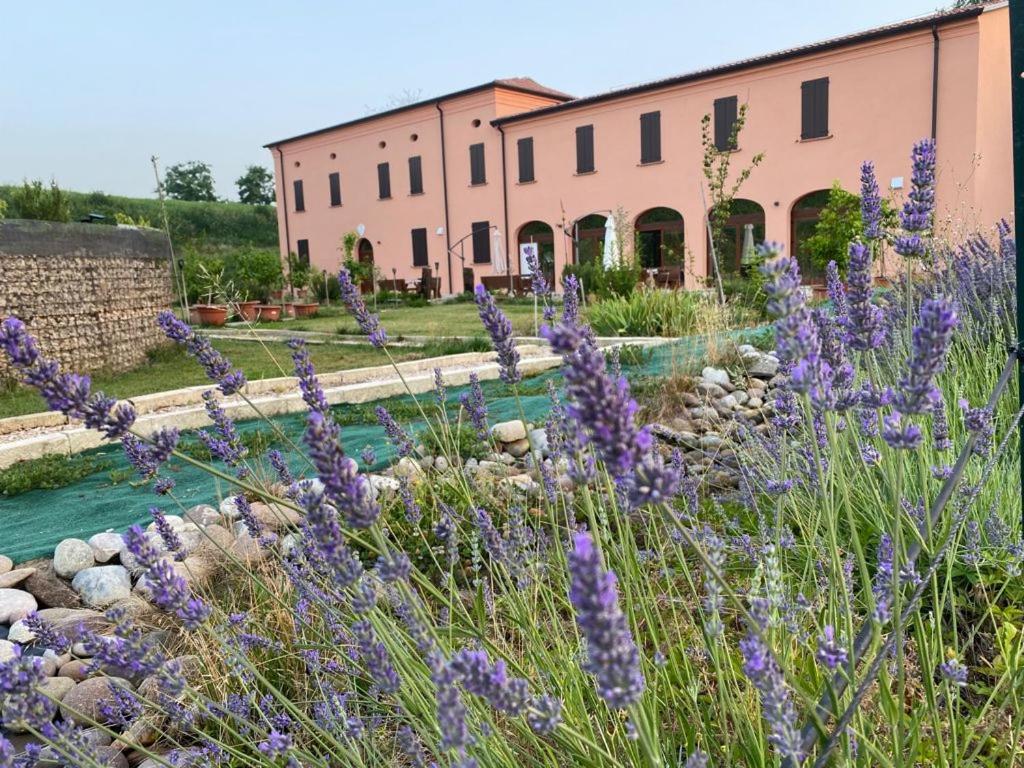 agriturismo zibramonda