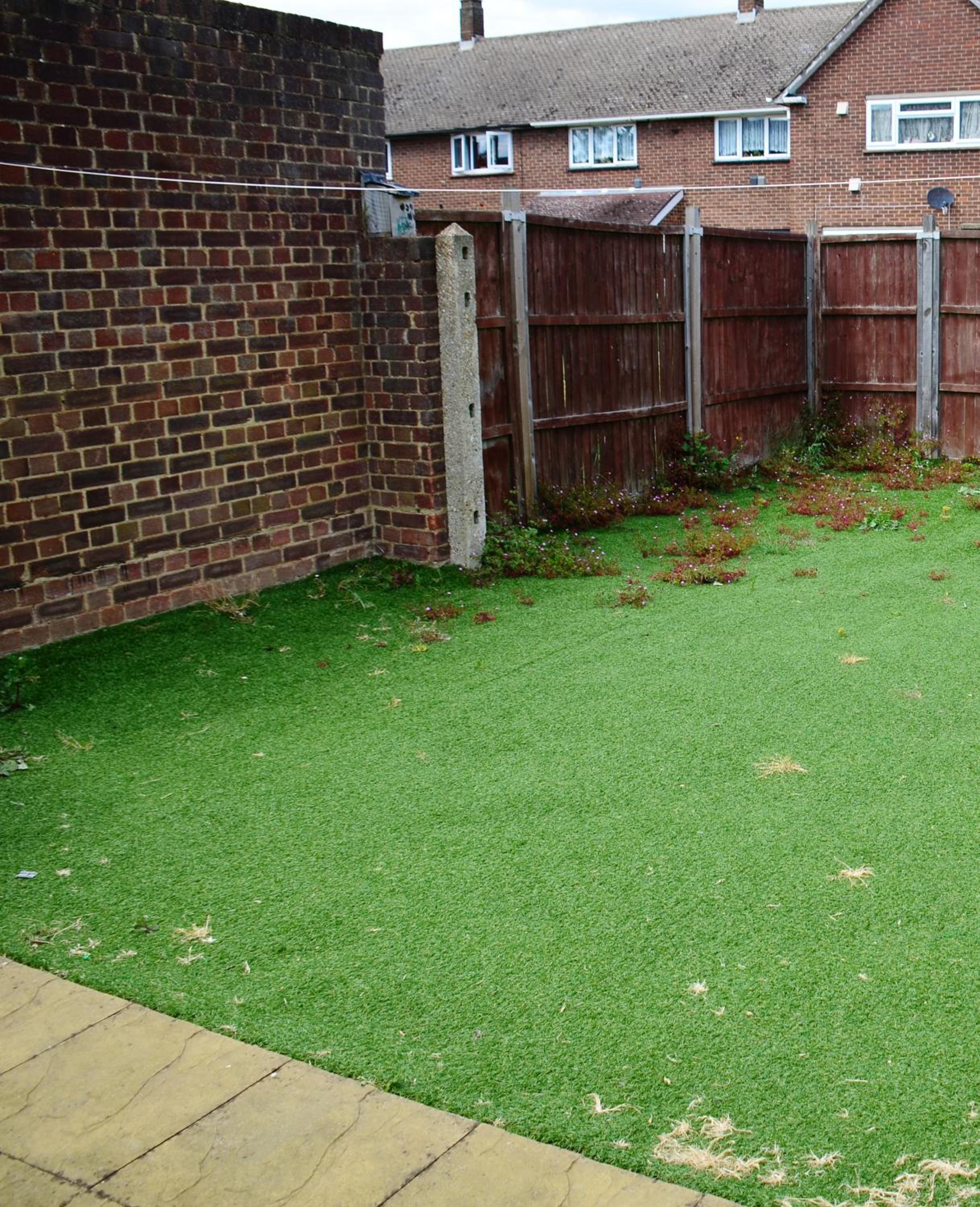 Photo 42