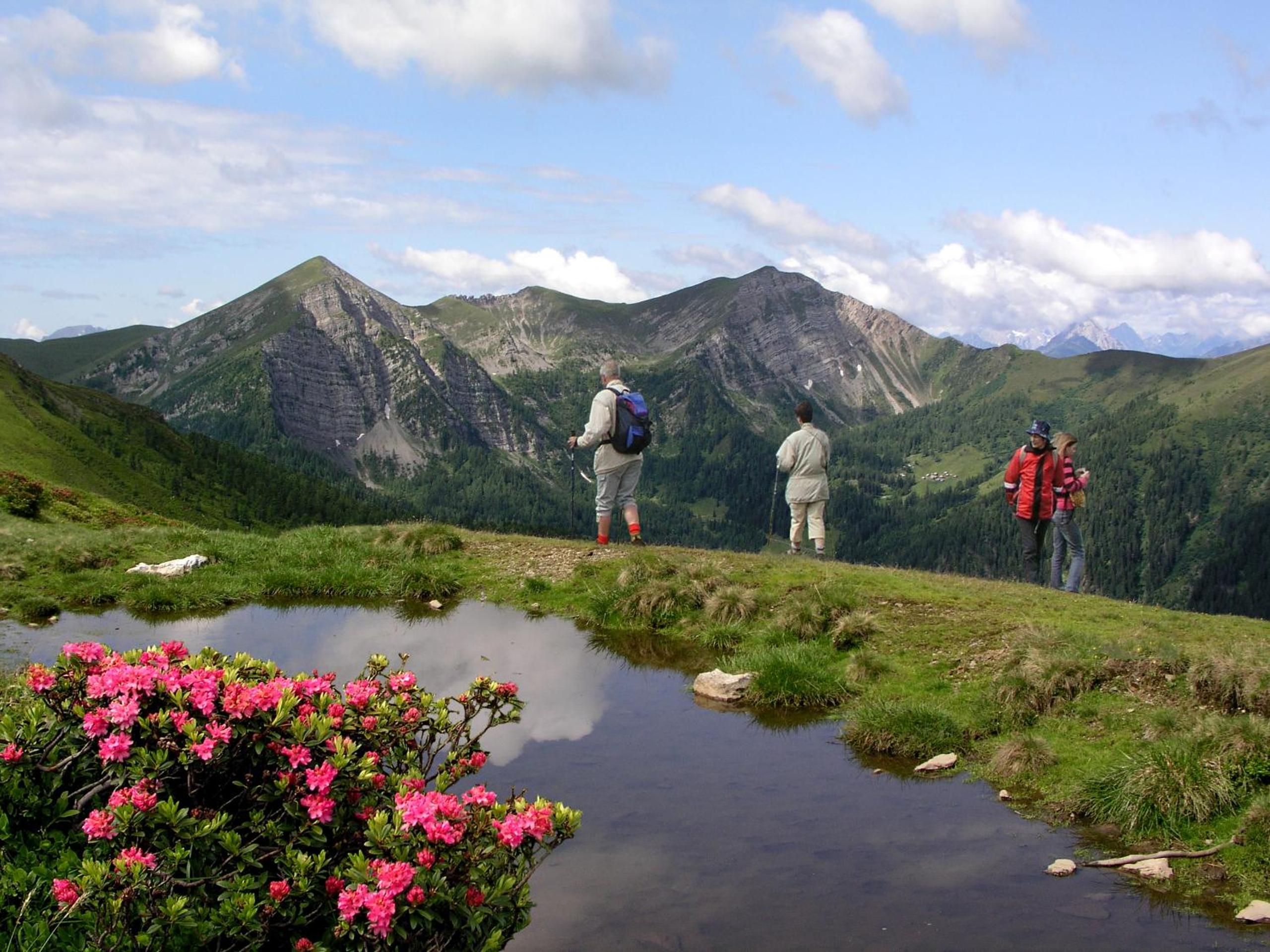 Ferienhäuser Familie Hofer Stockenboi Weissensee