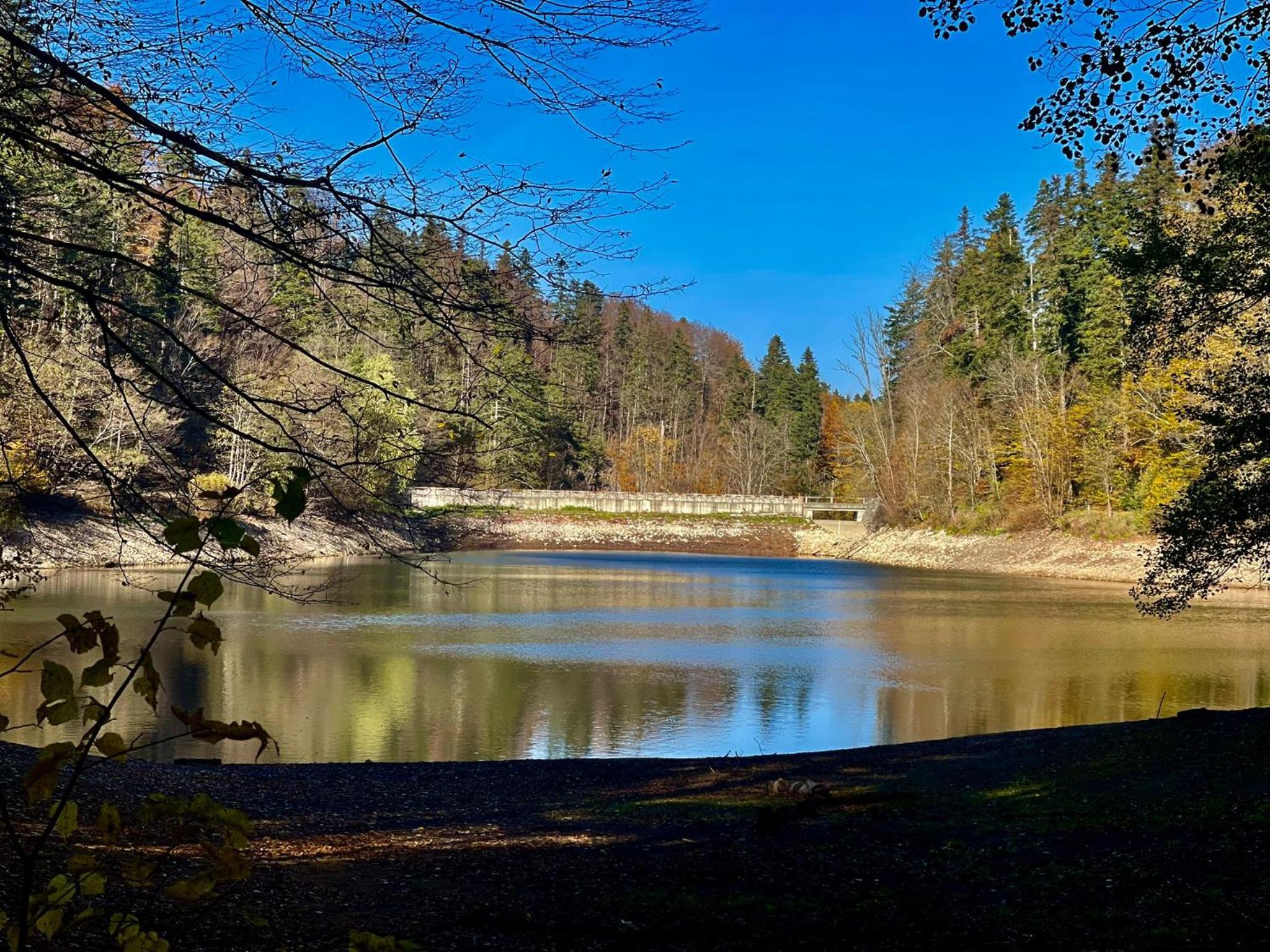 Cabana Staier