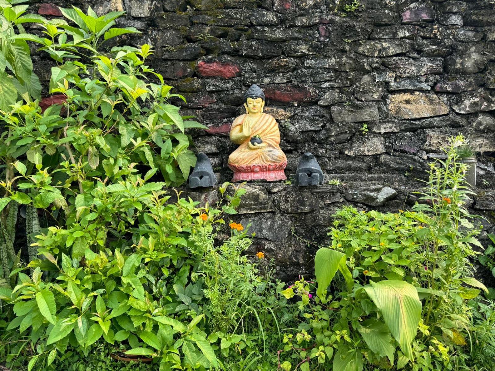 Photo 25