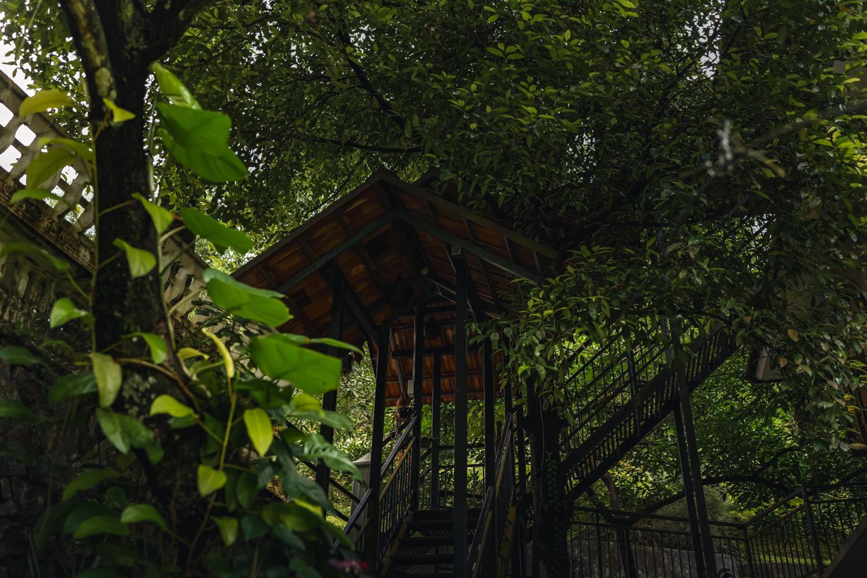 Jathikka Homestay