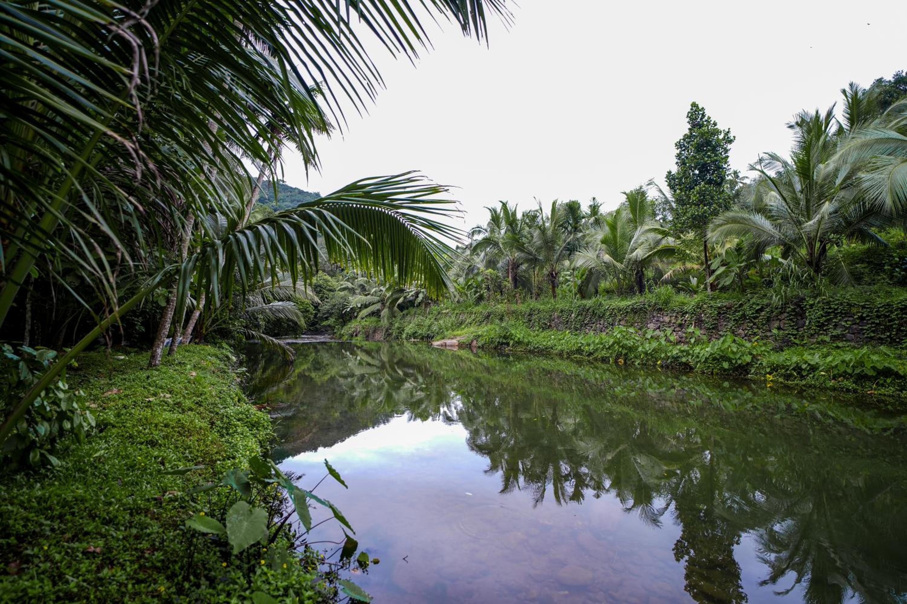 Jathikka Homestay
