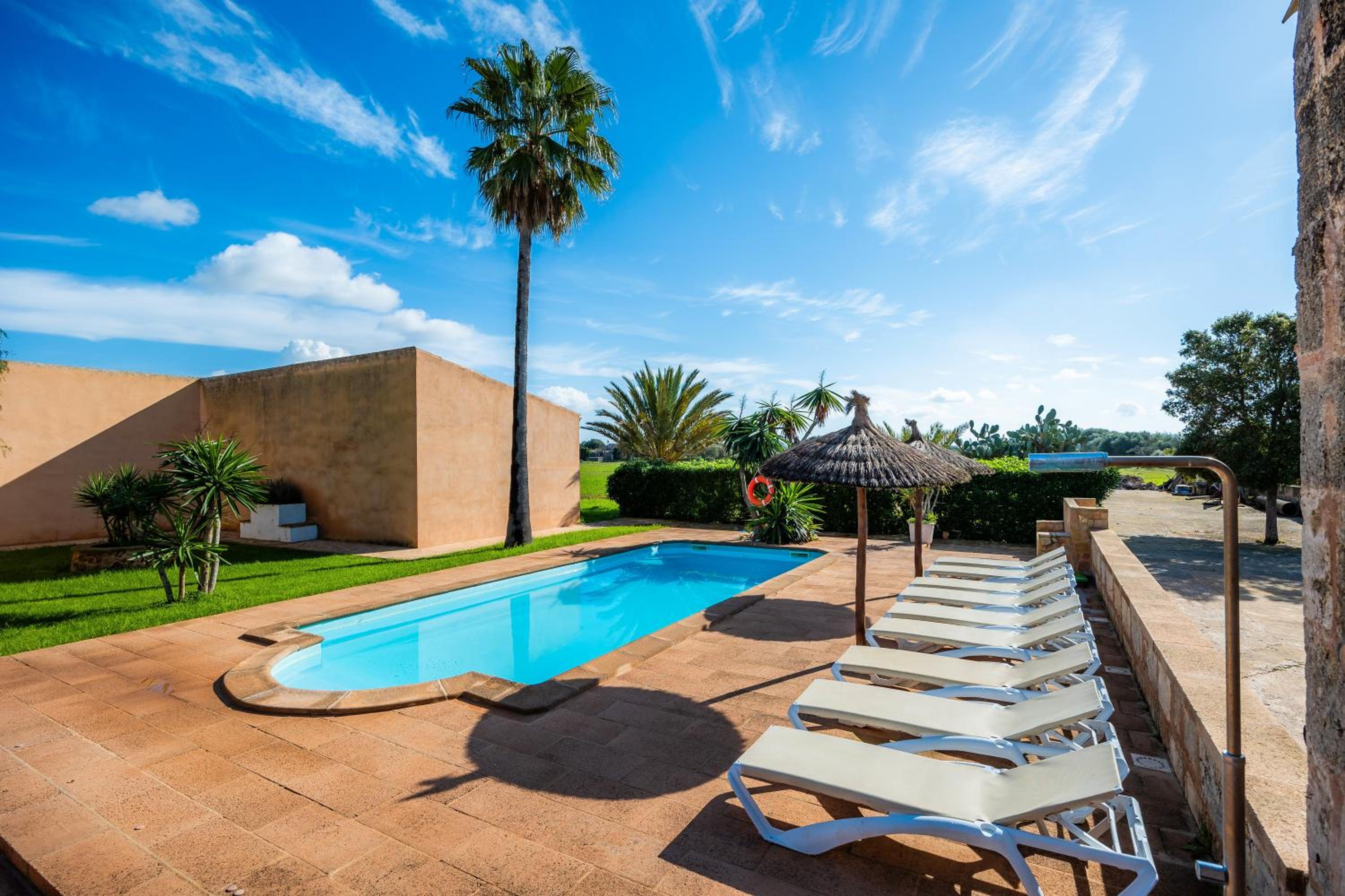 Finca Emilia photo 2