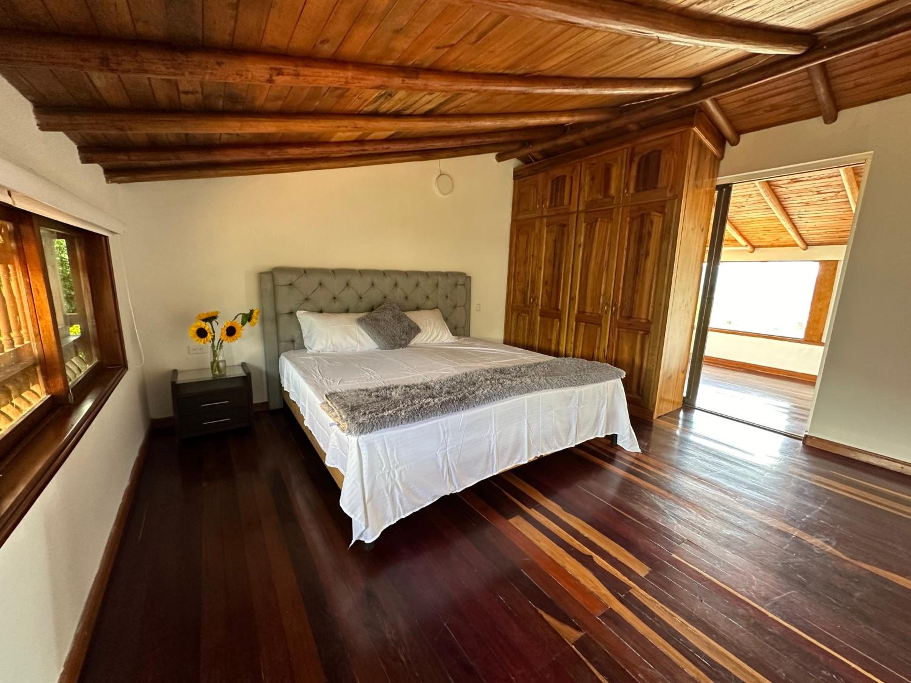 Finca Buena Vista