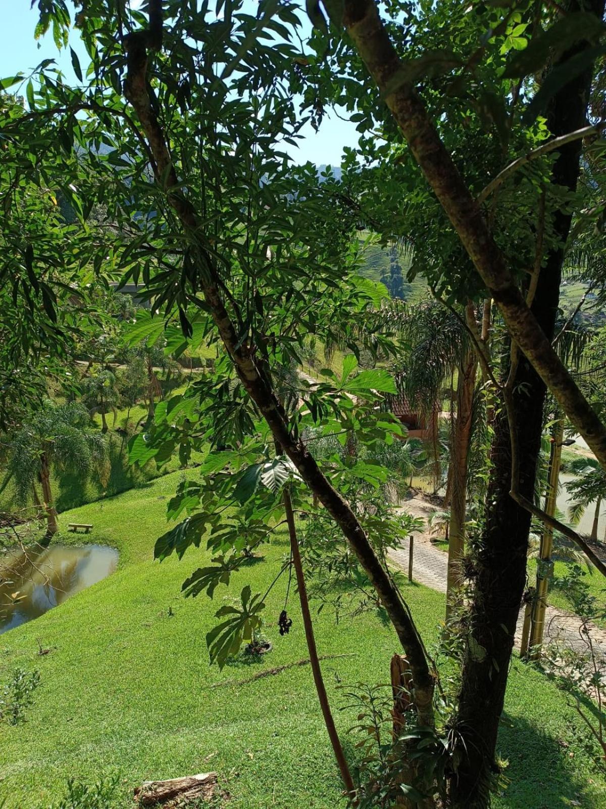Casa de Campo Rio Miguel