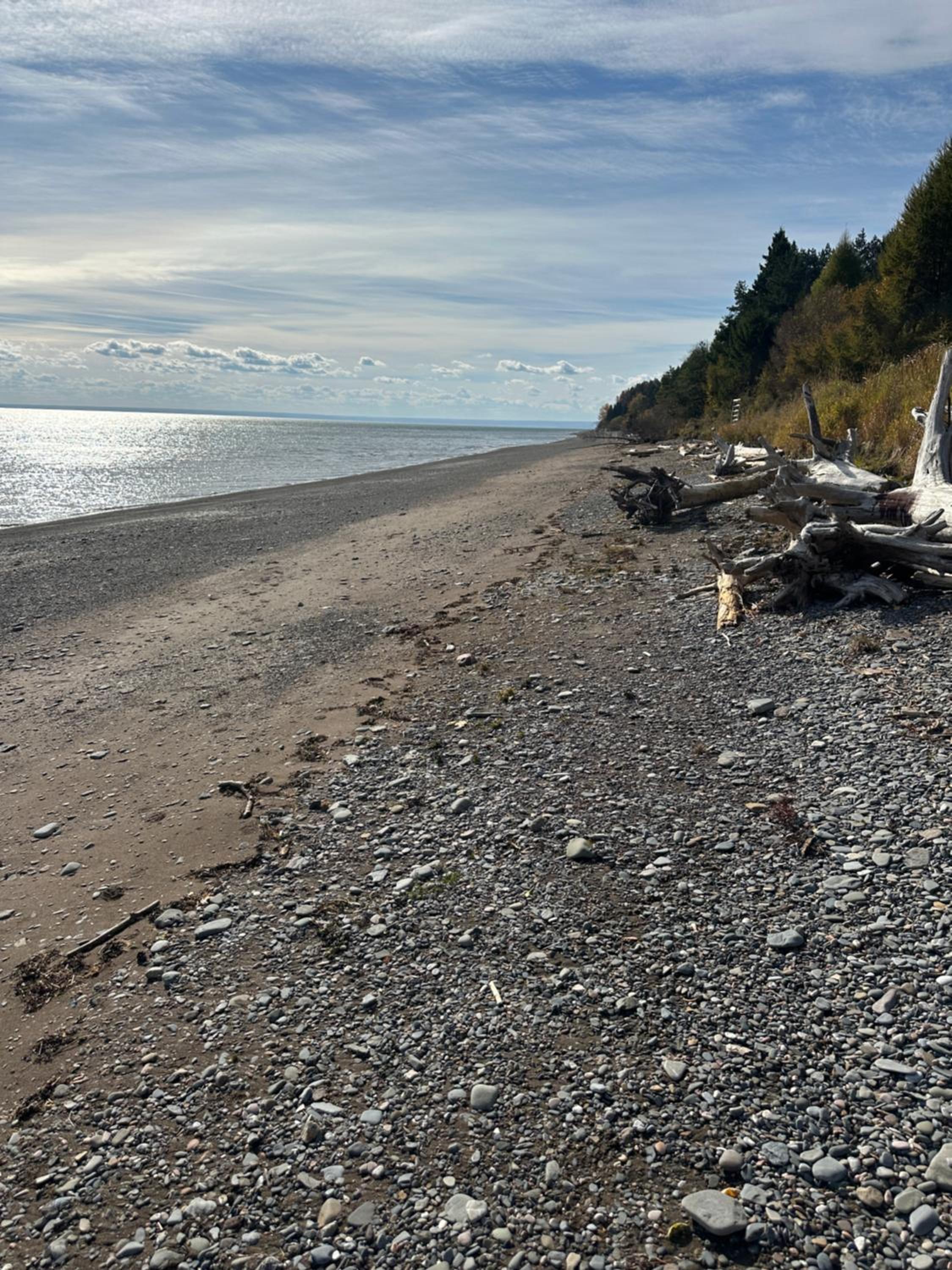 Motel Carleton Sur Mer