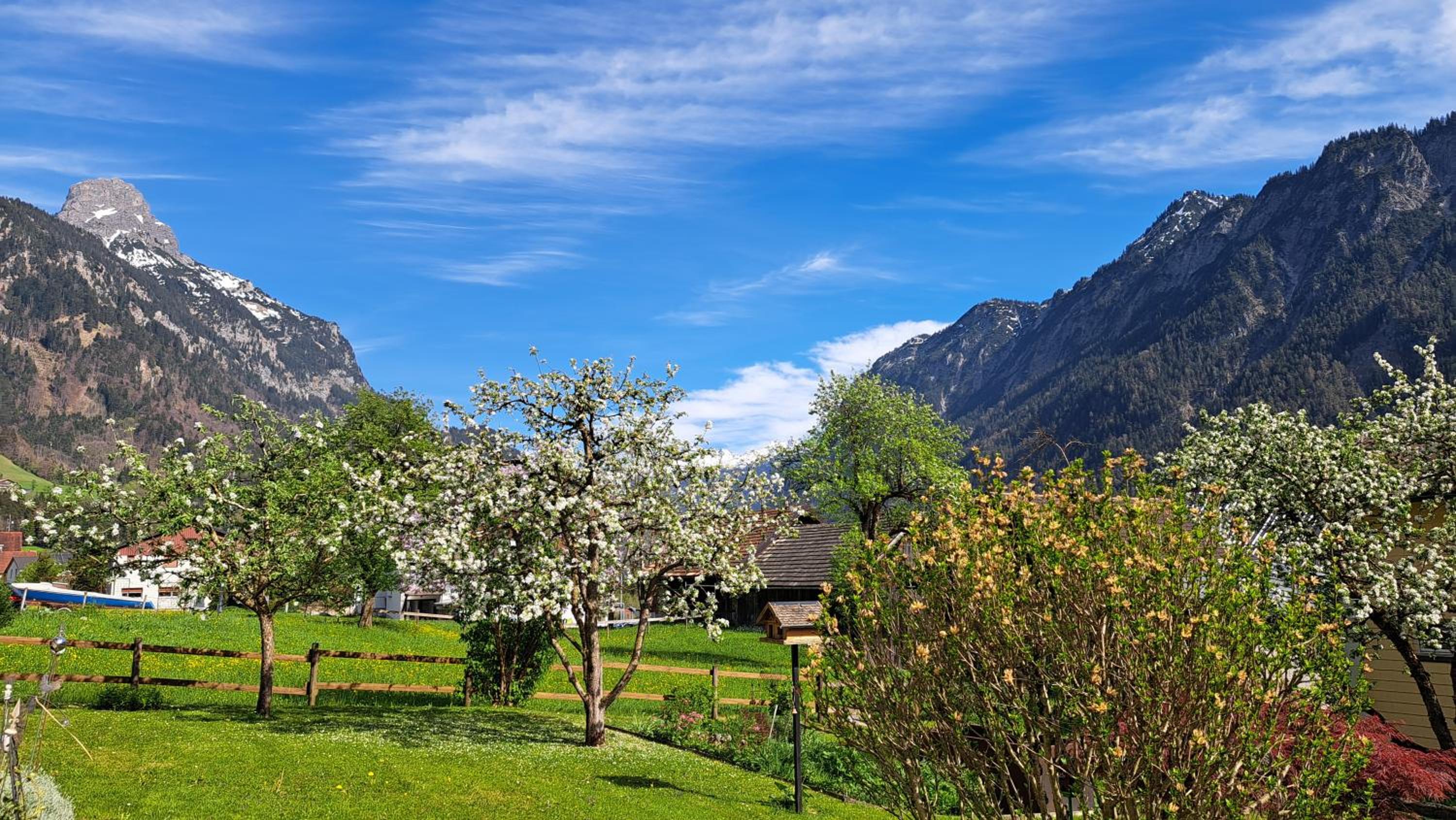 Baers Mountain Stay Außerbraz
