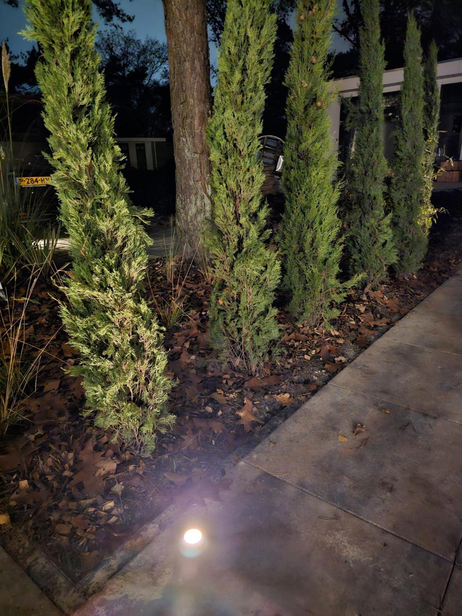 Photo 26