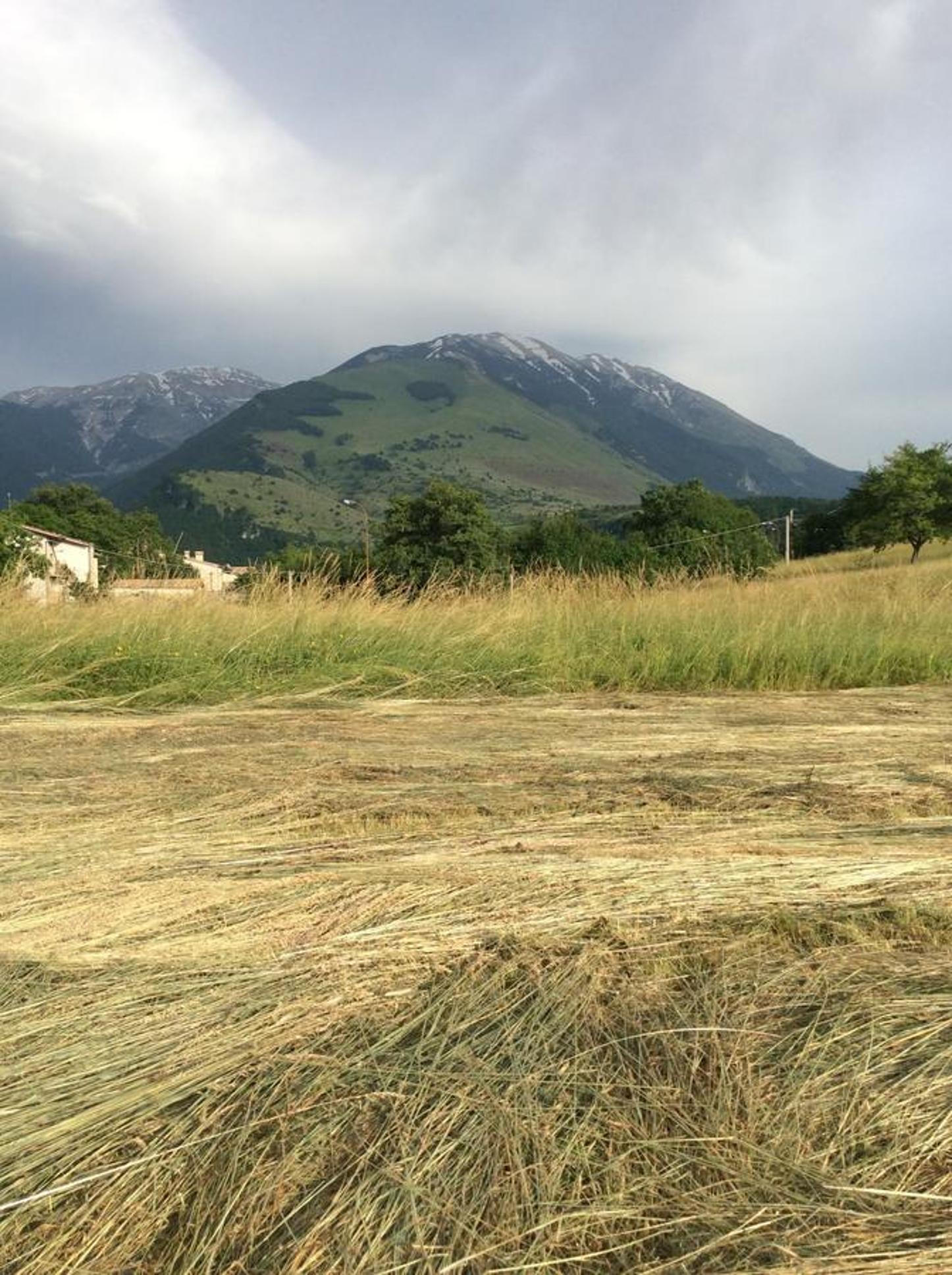 Casa Vacanza Abruzzo view 2