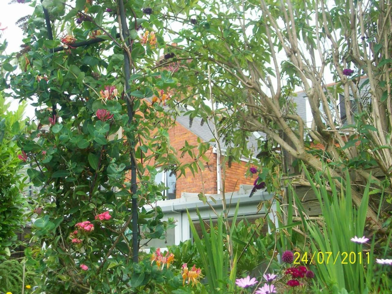 Photo 28