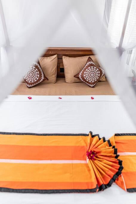 Cozy Home view 5
