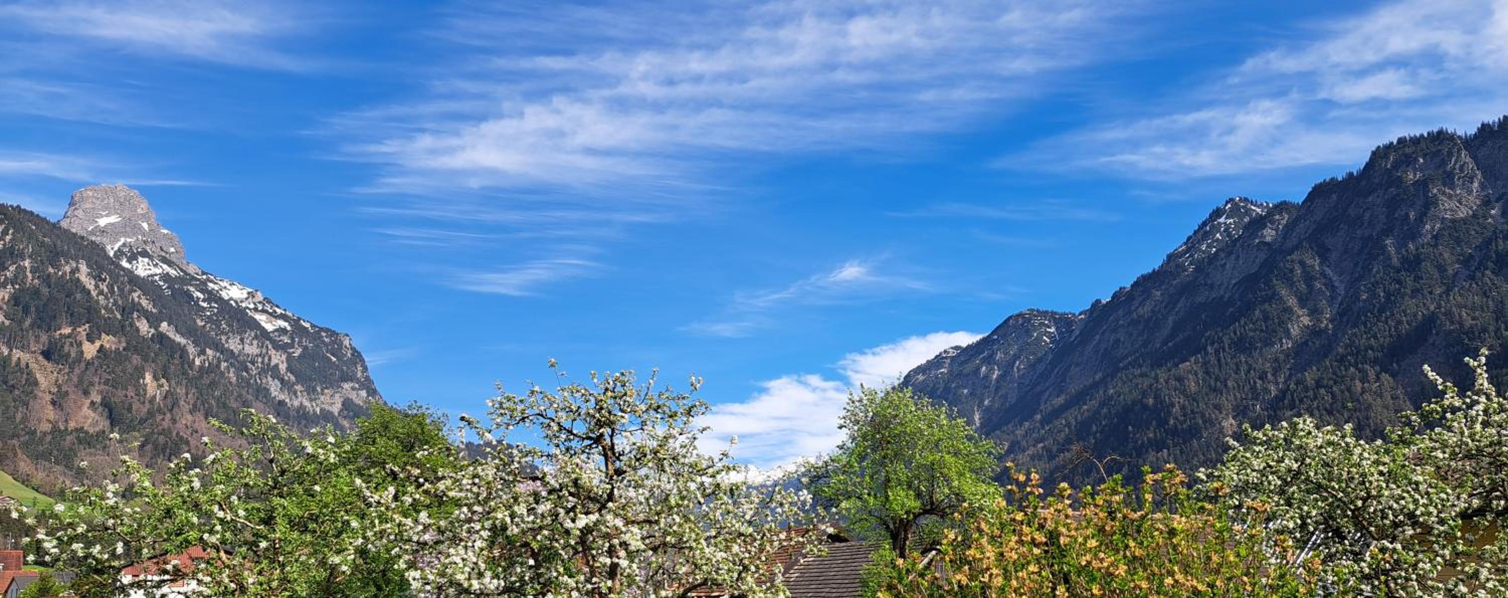 Baers Mountain Stay Außerbraz