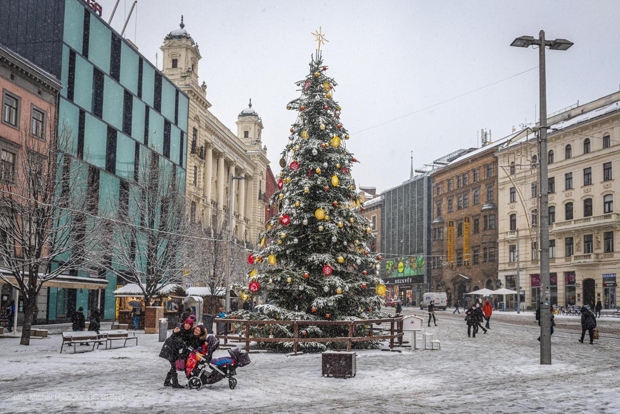 Brno - apartmán v bohémské čtvrti Kamenka