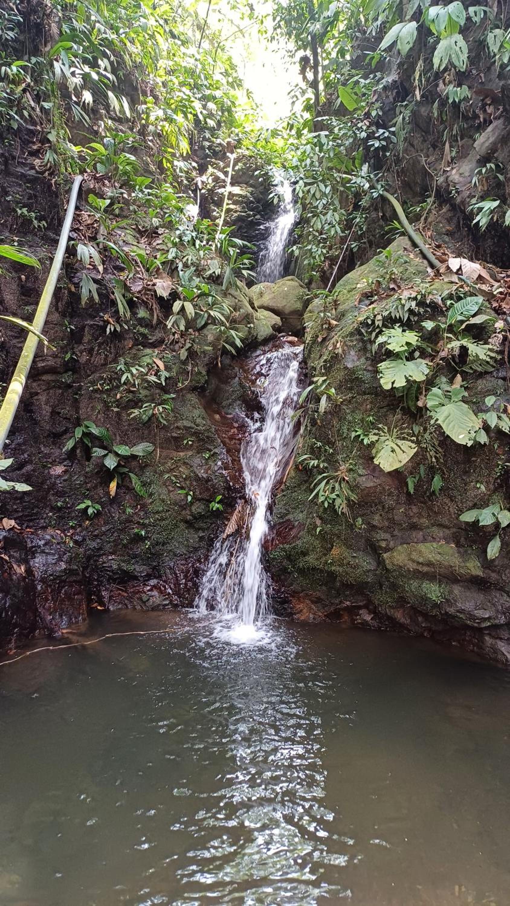 Finca LA CASCADA