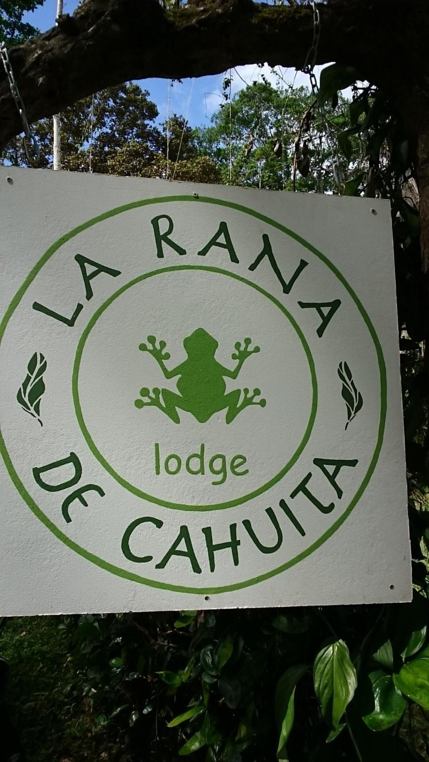 La Rana De Cahuita