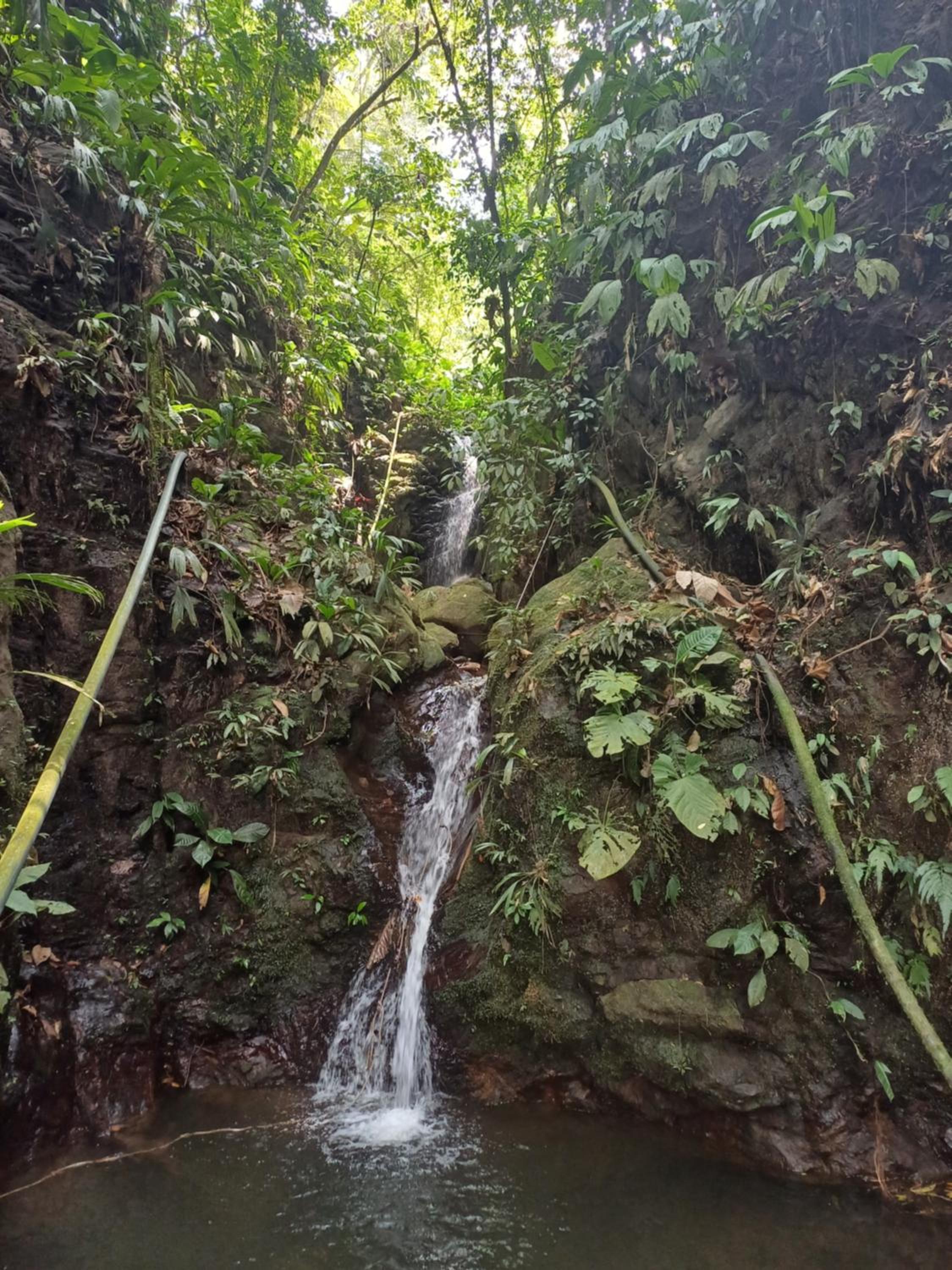 Finca LA CASCADA