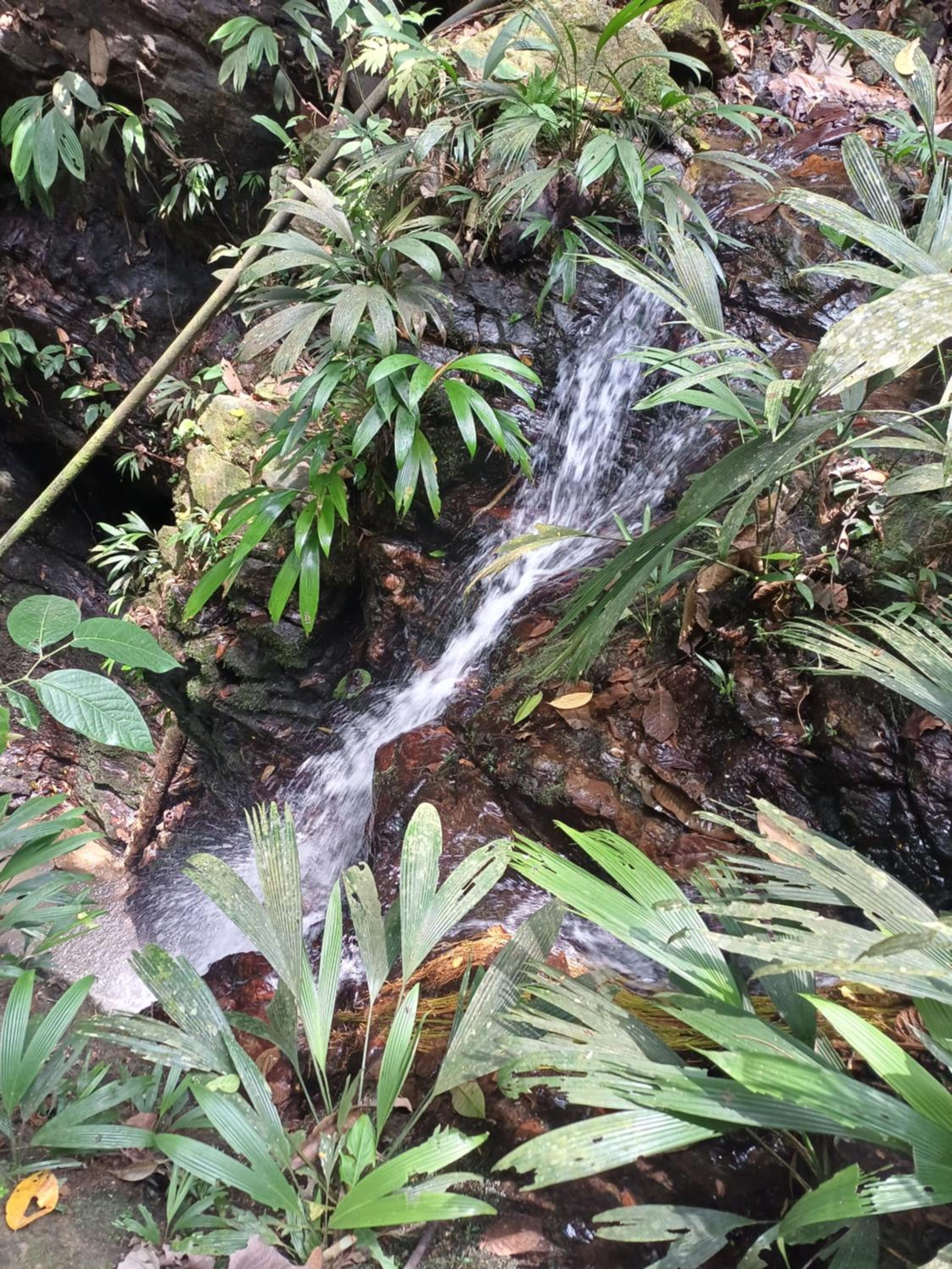 Finca LA CASCADA