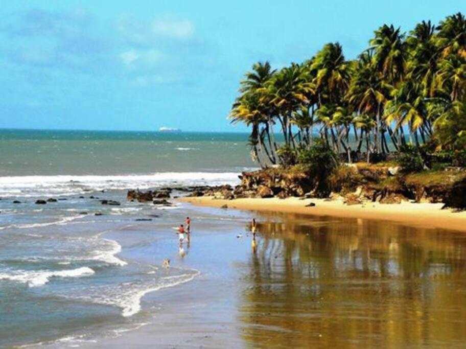 Lemos Surf House Piscina, Lazer e 100m da Praia