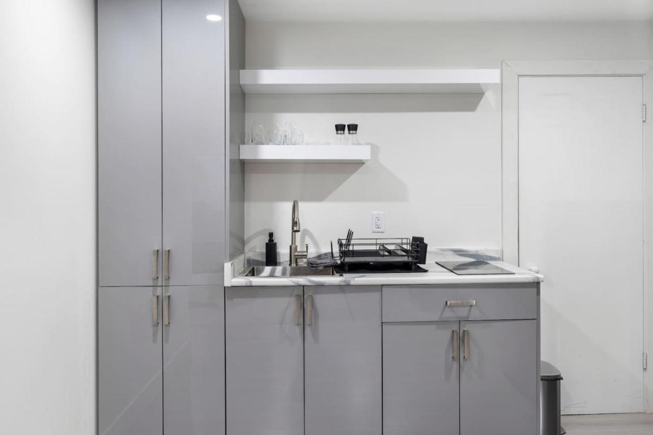 Cozy Basement Apartment with Skylights