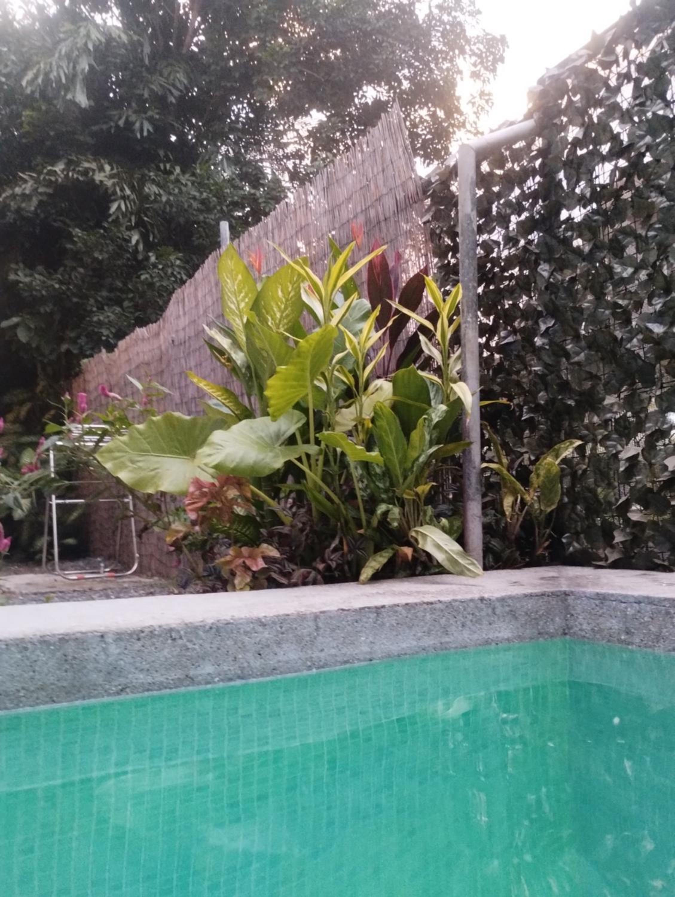 Casajungla Hostel