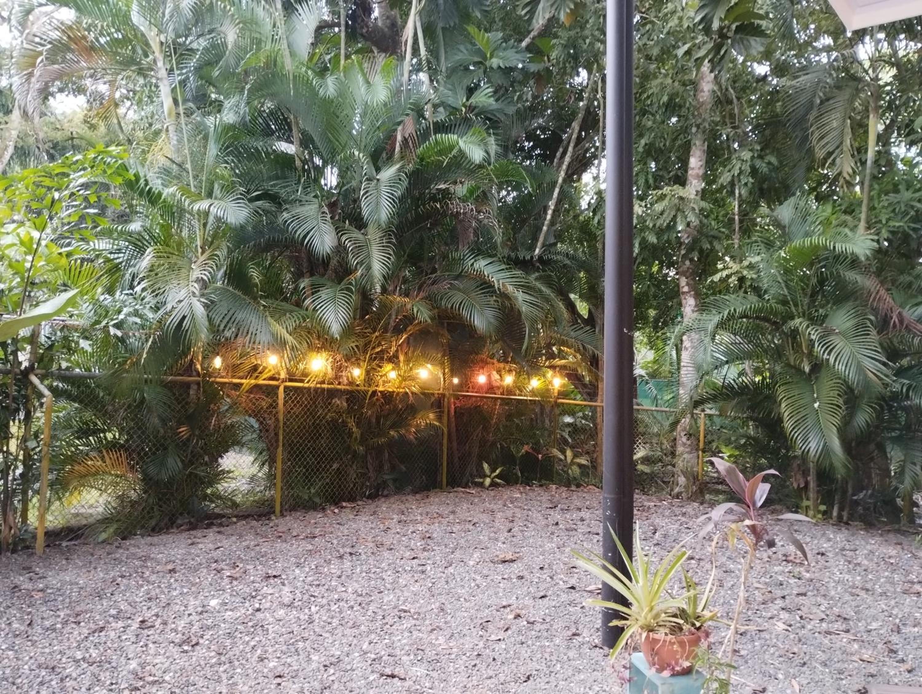 Casajungla Hostel