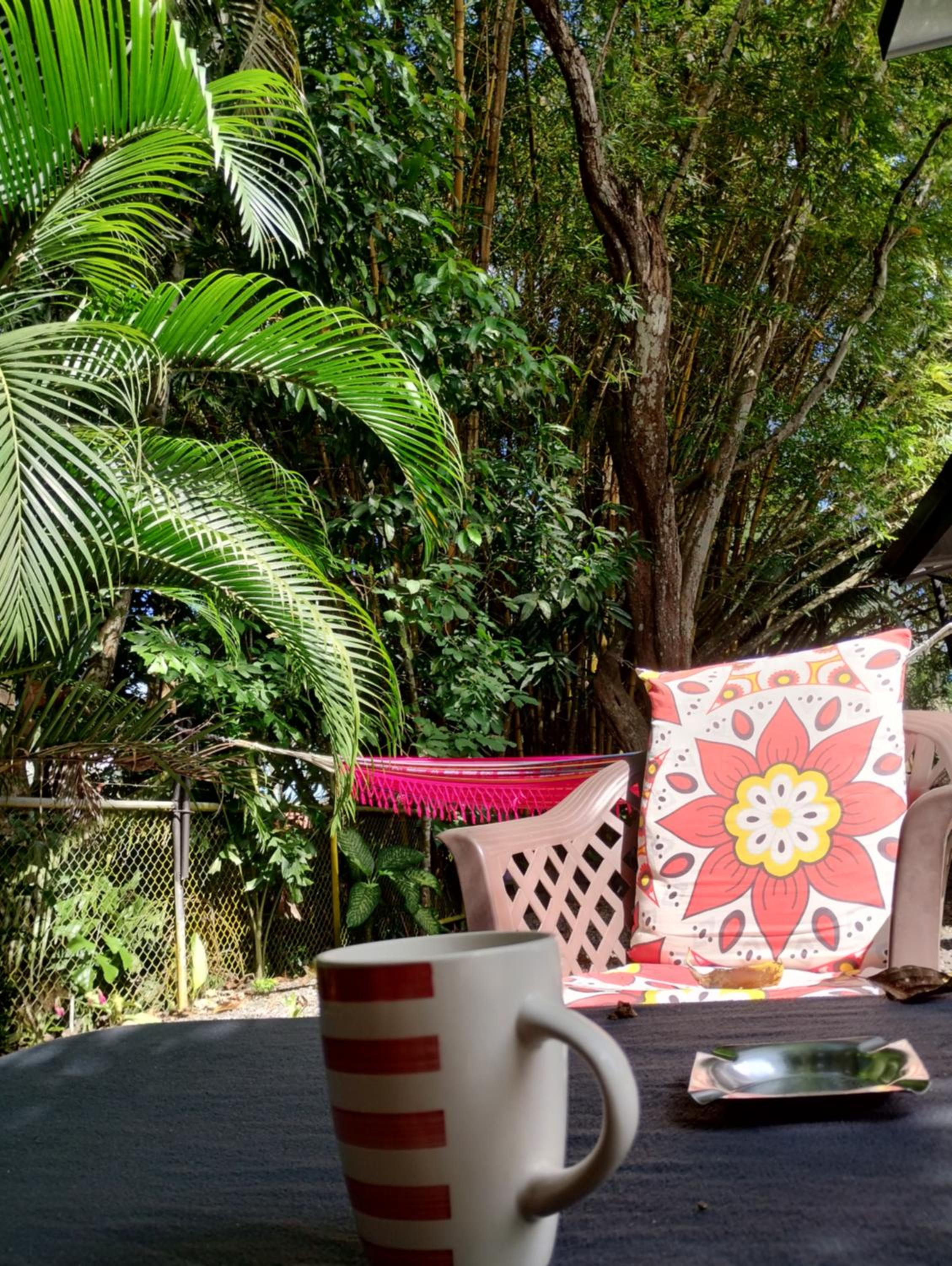 Casajungla Hostel