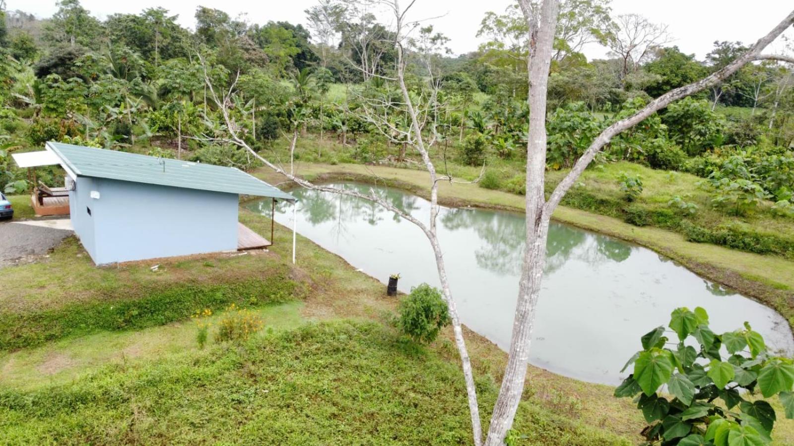 Arenal Sura
