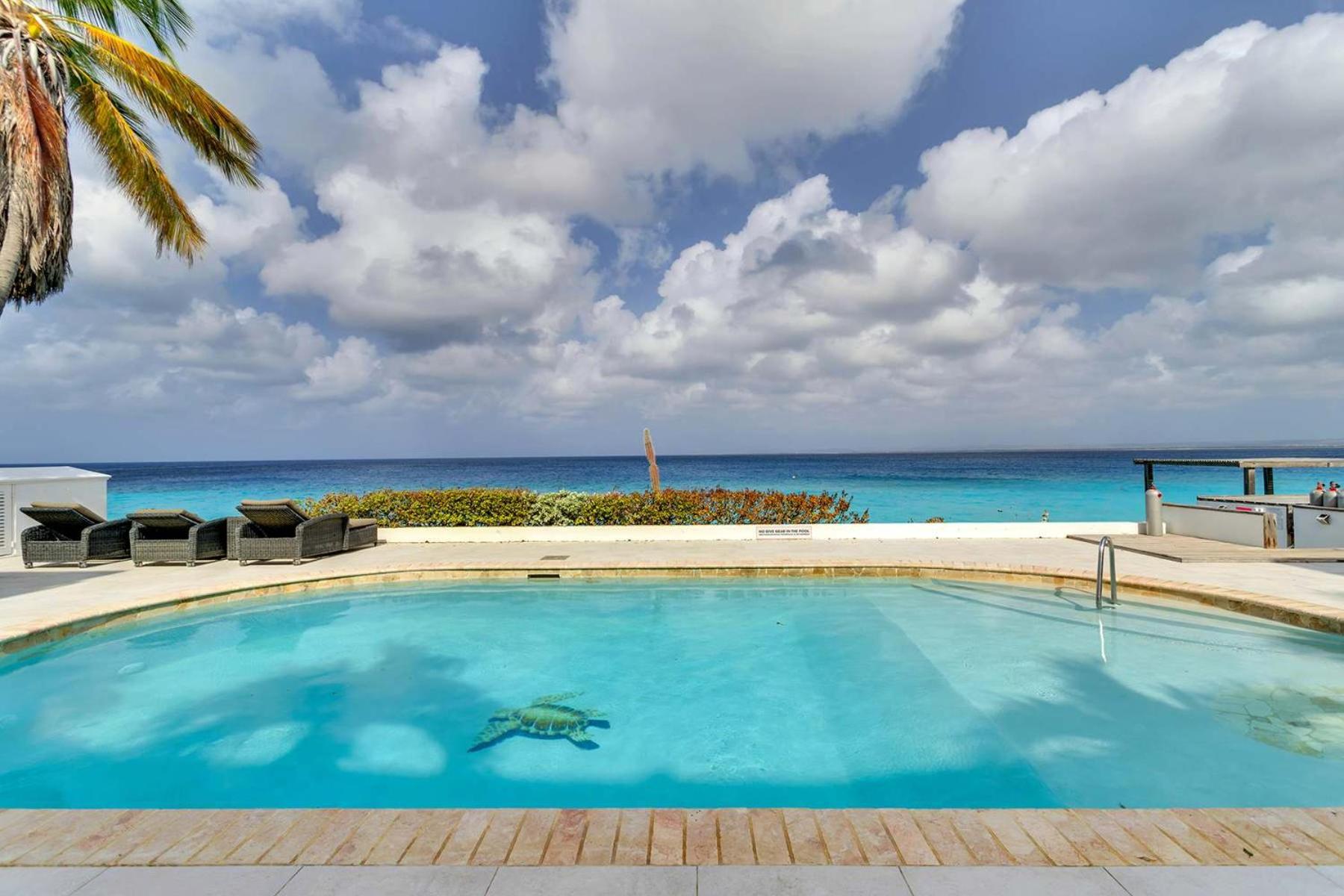 Belmar Oceanfront Apartments 21 right on the ocean with diving facilities