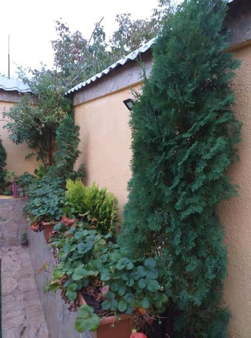 Sweet Family Home in Yerevan