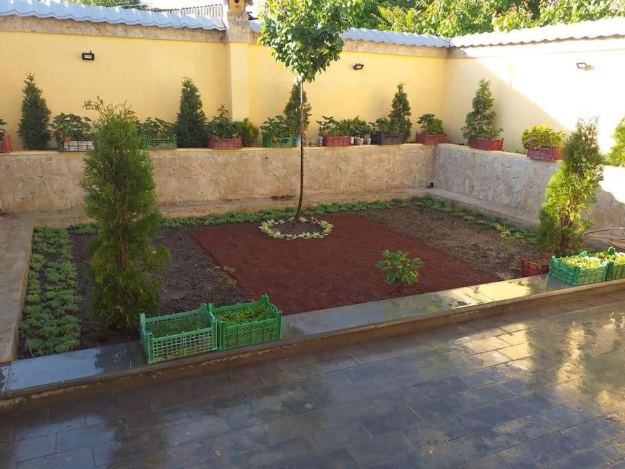 Sweet Family Home in Yerevan