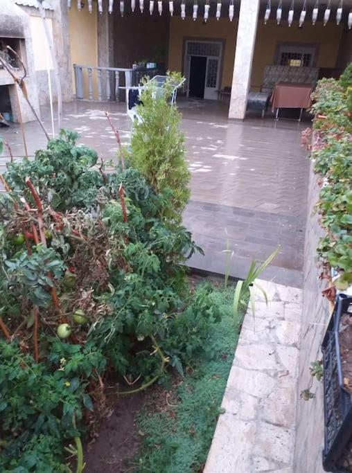 Sweet Family Home in Yerevan