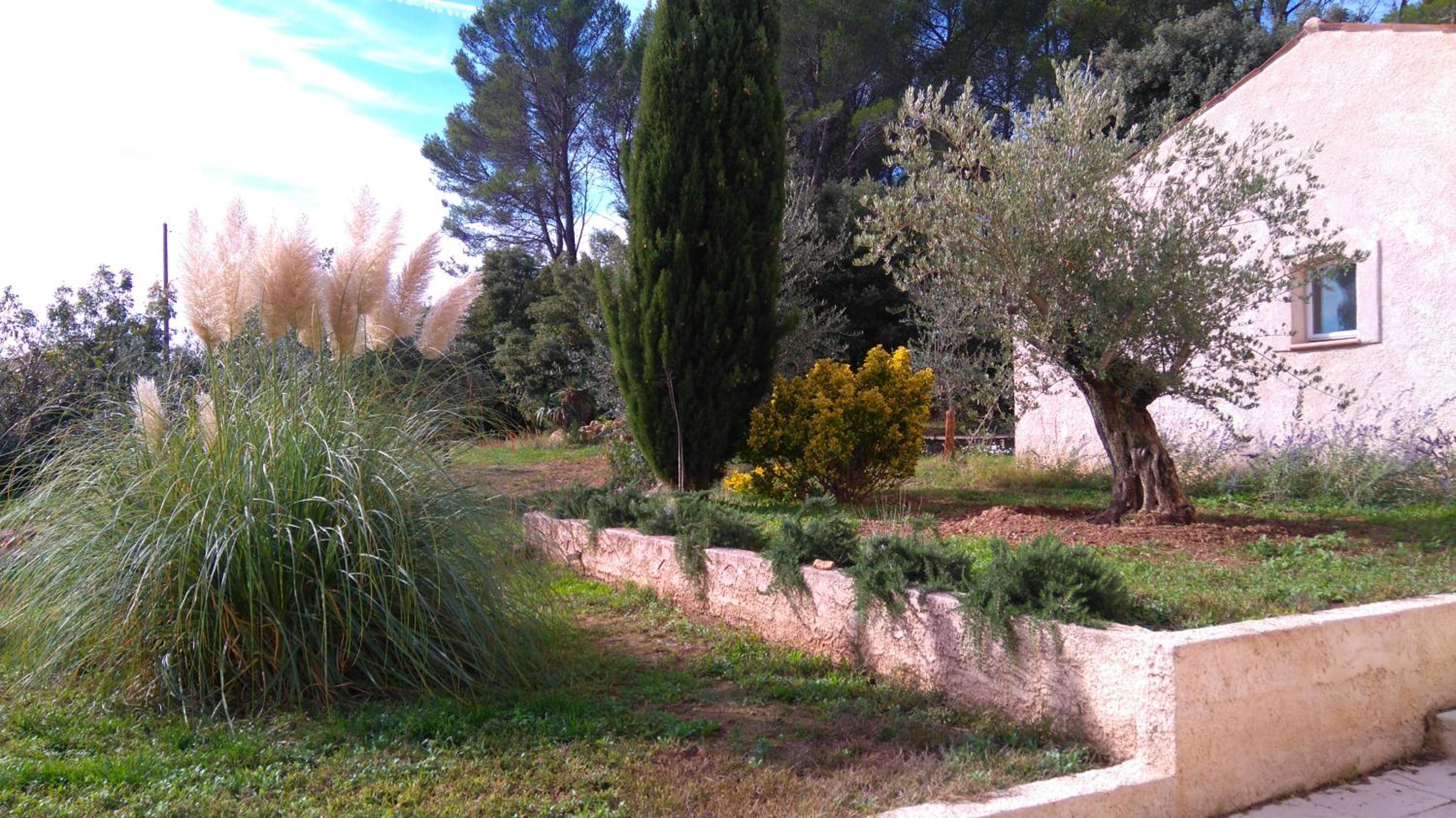 Photo 36