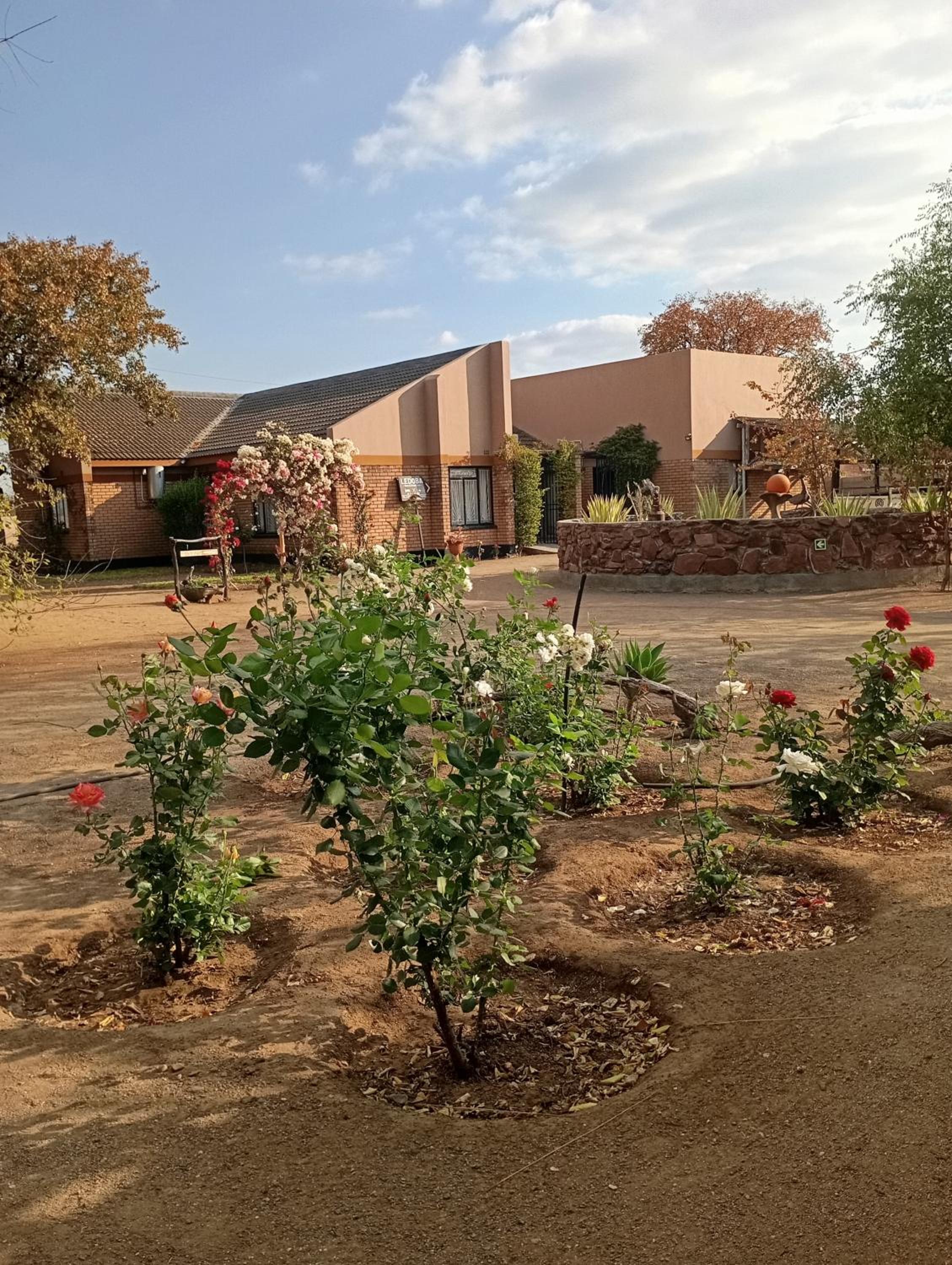 Ledoba Bed & Breakfast
