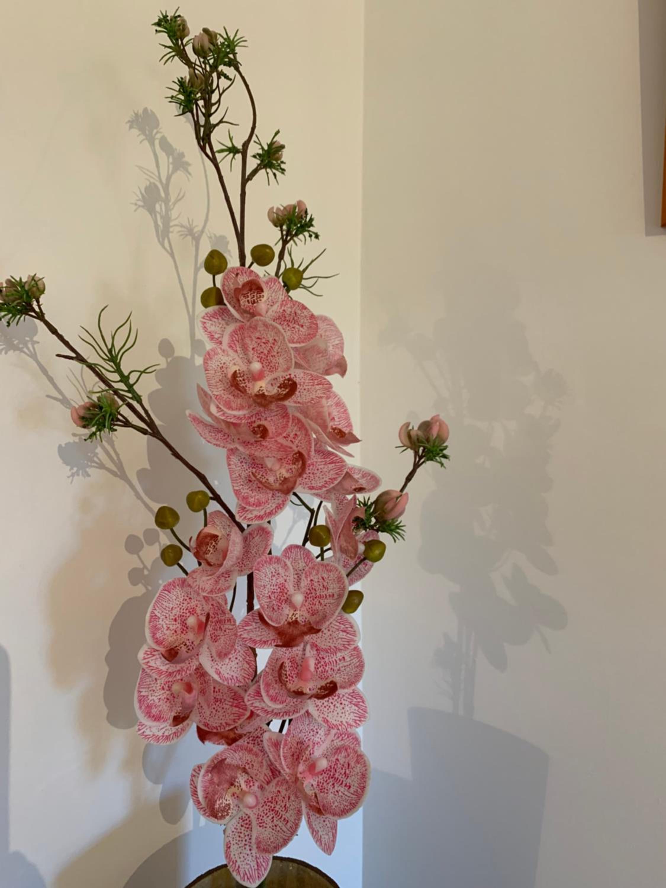 Discovery Apartment Carnaxide