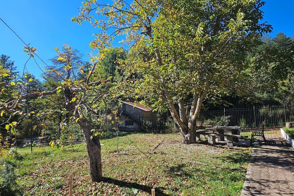 Villa Alba