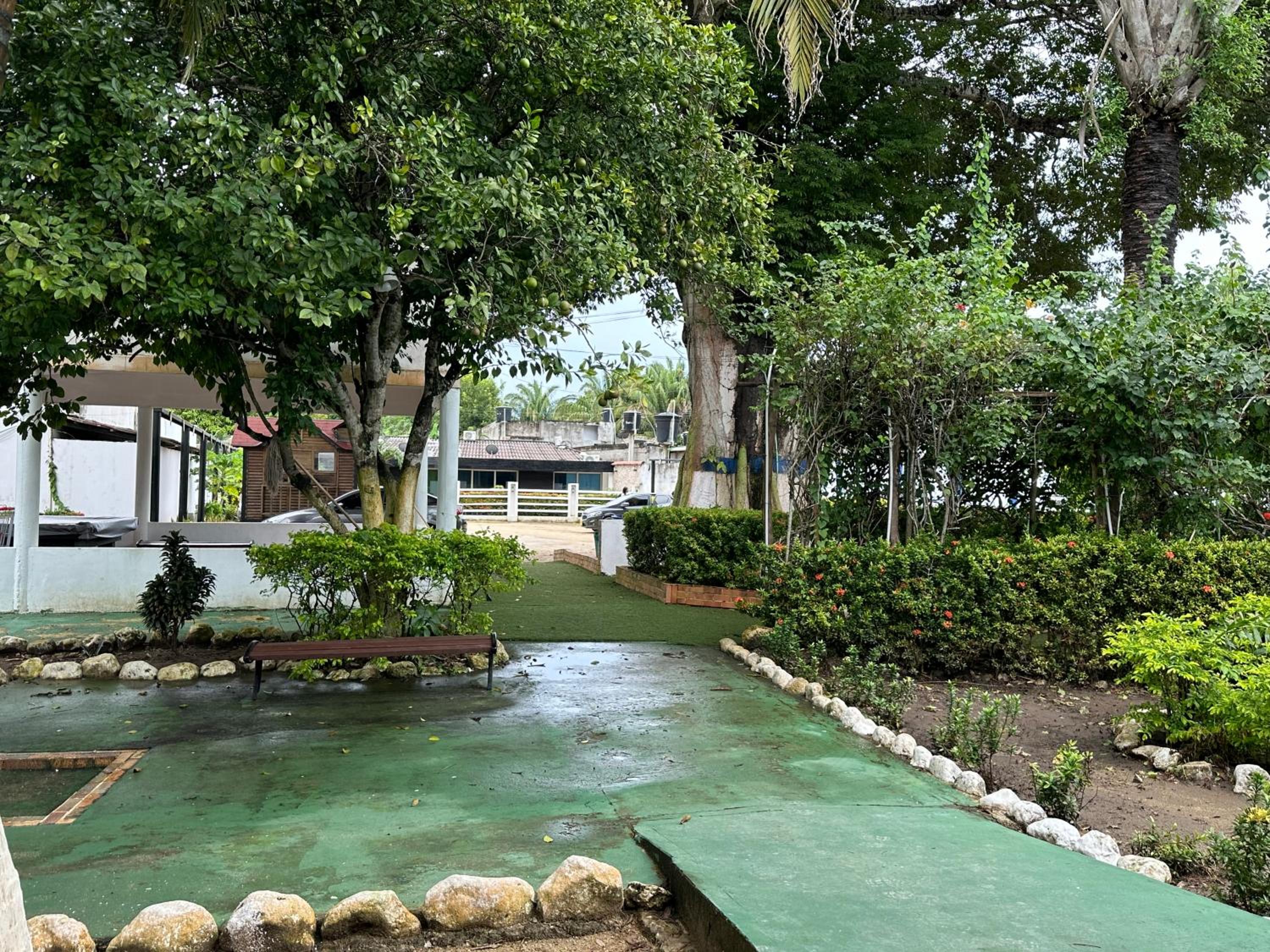 Photo 17