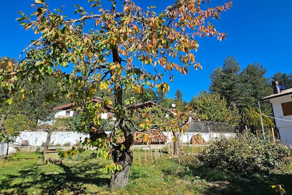 Villa Alba